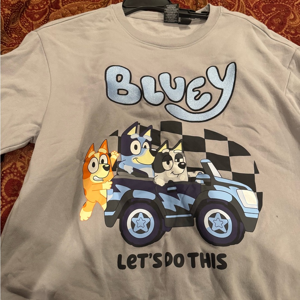Bluey Graphic Sweatshirt